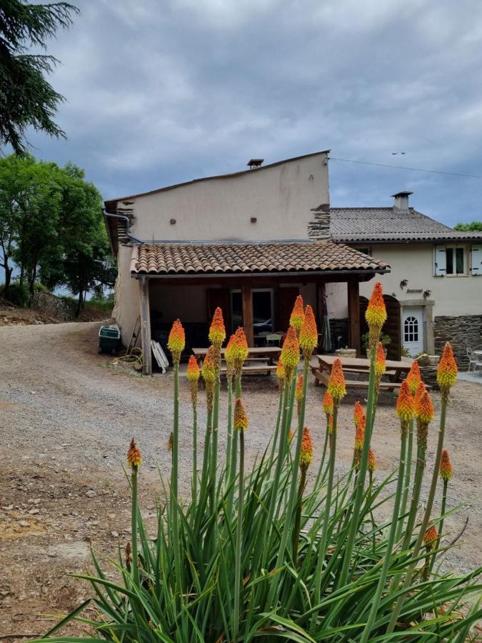 L'Oeil De Carcassonne Villa Caudebronde Exterior photo